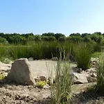 La Grenouillere