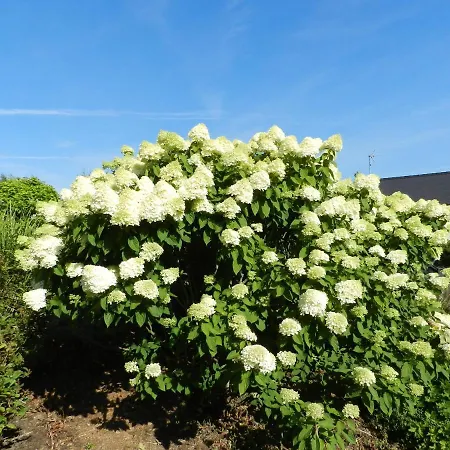 La Grenouillere Esqueheries