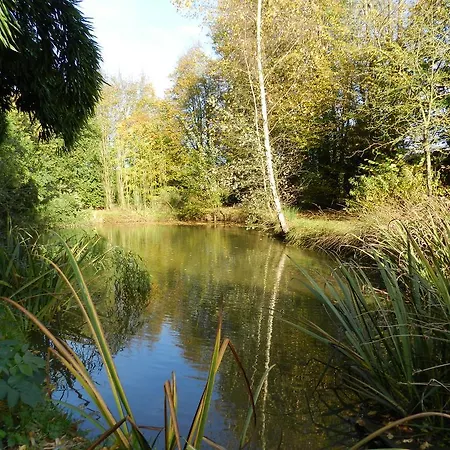 La Grenouillere *