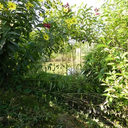 La Grenouillere Esqueheries