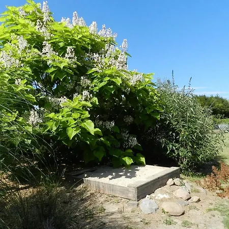Tatil Evi La Grenouillere *